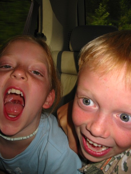 456x608 pixels (54K)