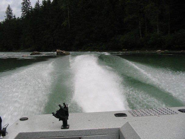 608x456 pixels (58K)